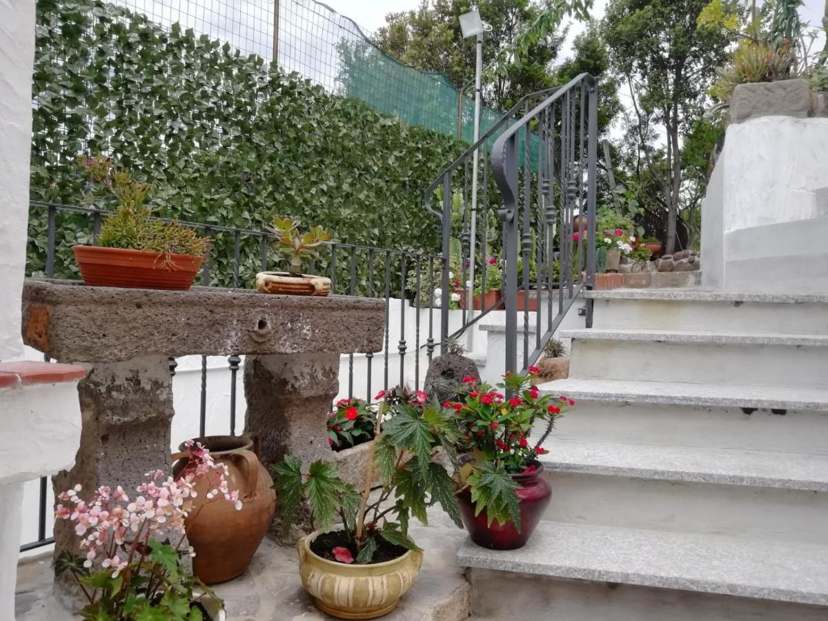 Appartamento Bouganville Magomadas Exterior photo